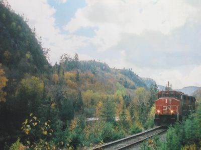 CN_train_cropped