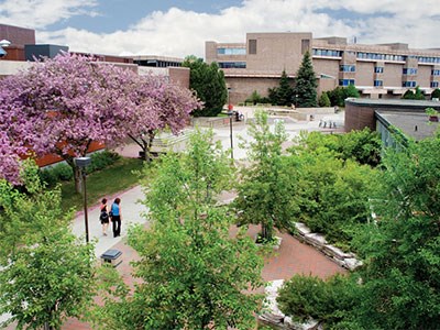 Lakehead-University_Cropped