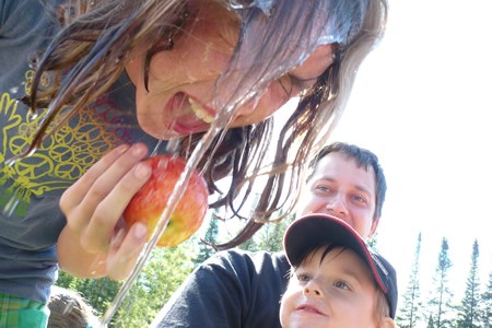 bobbing_apples
