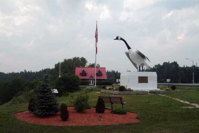 Wawa goose