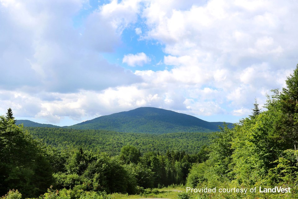 Wolfden Resources Pickett Mountain (Maine)