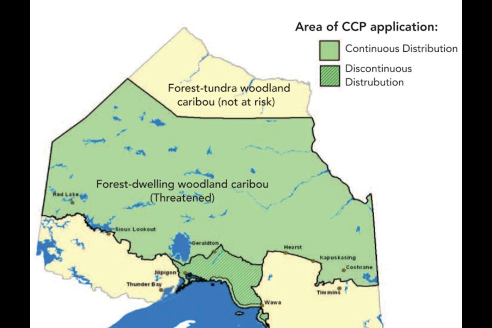 A map shows the distribution of woodland caribou in Northern Ontario. (Government of Ontario)Expand
