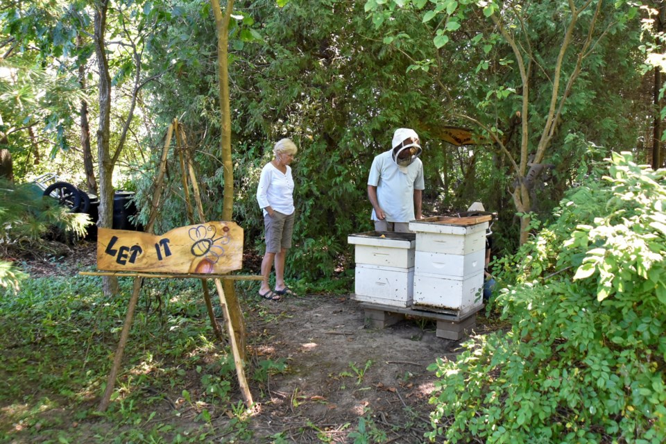 A Host a Hive client learns about bees.