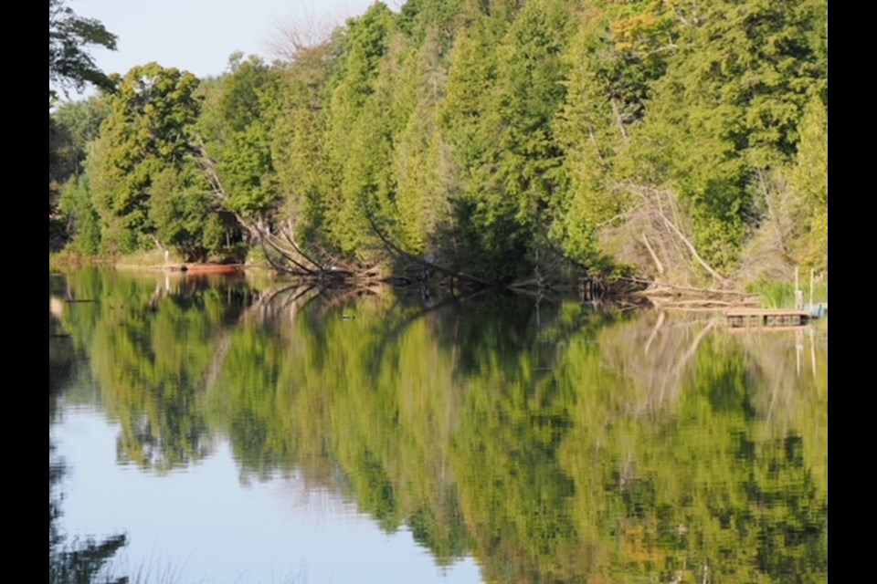 A morning view from a Sauble Falls campsite.