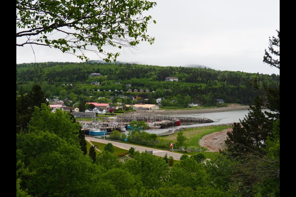 Best Campgrounds in Bay of Fundy