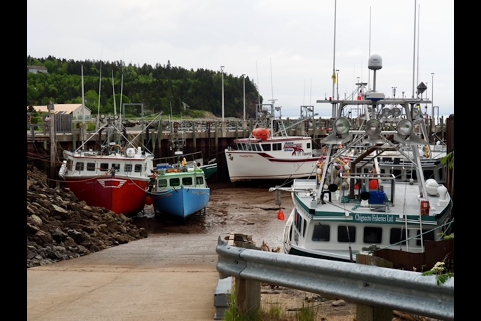 Best Campgrounds in Bay of Fundy