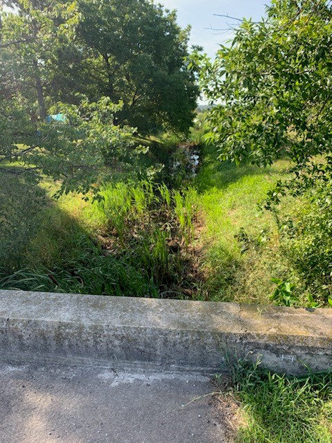 A neighbour's photo of the Cole Drain Sept. 2, after the berm was removed and the water flowing.