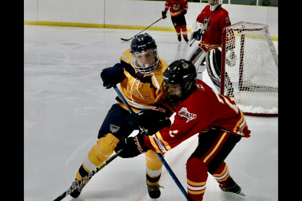 Nolan Wyers takes a renegades defender into the boards. (Mike Balsom)