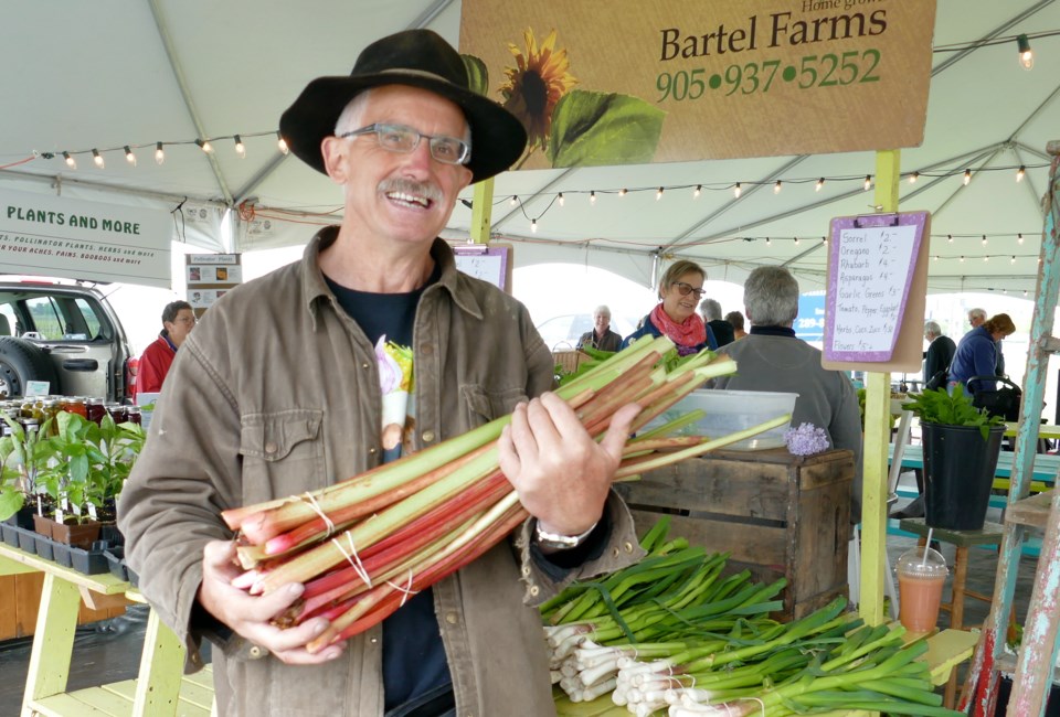 ken-bartel-organic-rhubarb