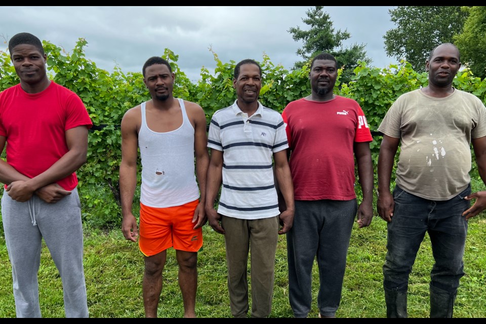 Kevin McDonald, Delan Samuels, Oral Walters, Andrel Lawson and Linton Beale are some of the men from Stratus Vineyards taking the literacy classes offered by the Niagara Region Literacy Council.