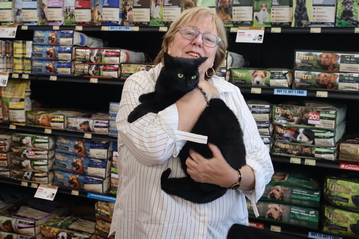 Purr-fect pets meet potential parents at Pet Valu in Virgil