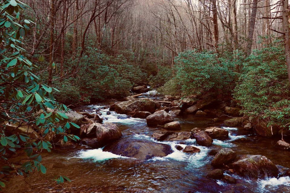 A clean and beautiful creek in South Carolina, where Owen Bjorgan was hiking upstream, downstream, and experiencing the benefits of both choices. 
