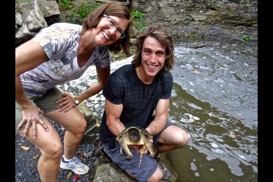 Showing a tour guest a snapping turtle along the Niagara Escarpment. 
