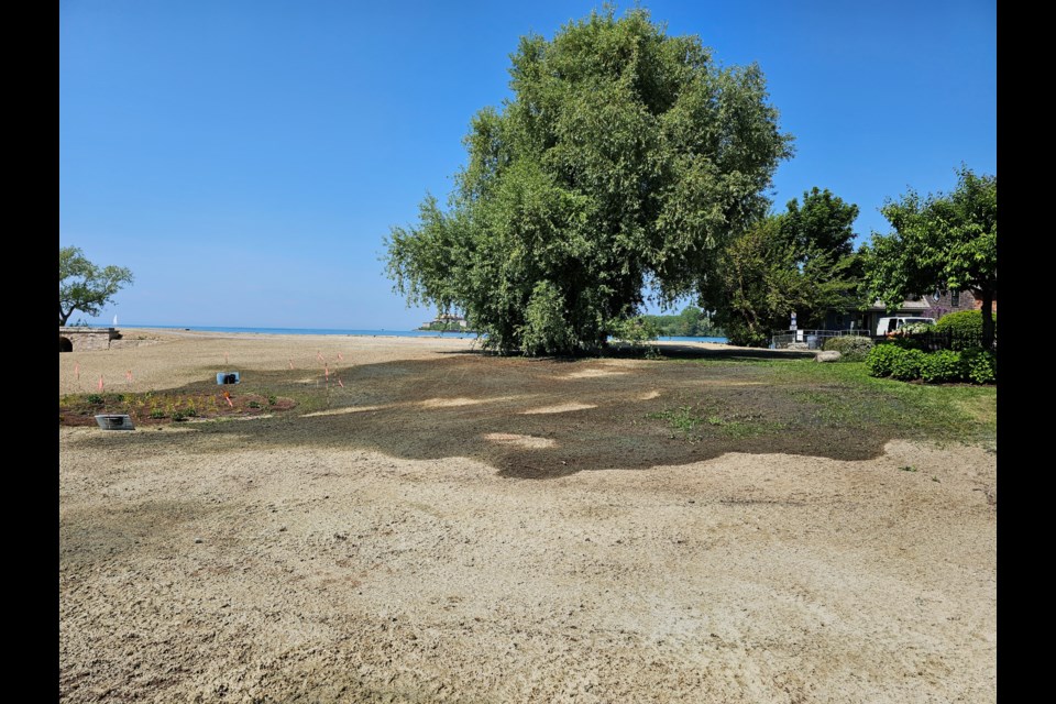 This photo was taken of The Parkette Thursday, about a week after it was hydroseeded.