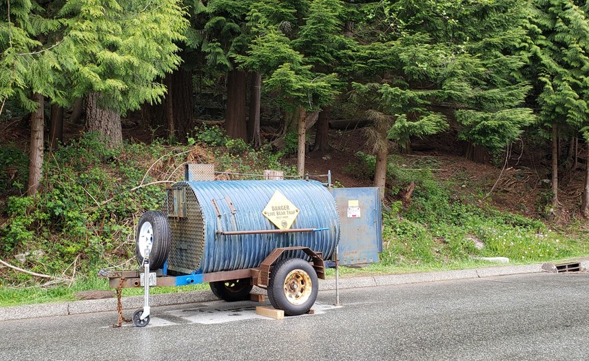 A bear trap waits on Braemar Road, April 28, 2021. The North Shore Black Bear Society is warning this could be a bad year for bear conflicts if property owners don't clean up their acts, and their yards.