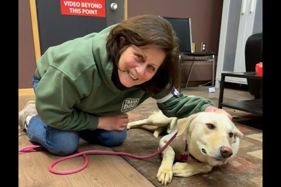Mary Milton comforts one of more than 150 dogs rescued from Kabul, Afghanistan, and brought to Vancouver for adoption.