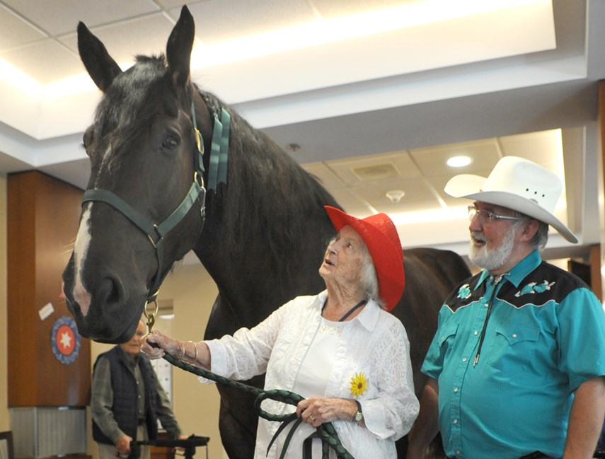 Horse at Hollburn Residences 02 MW