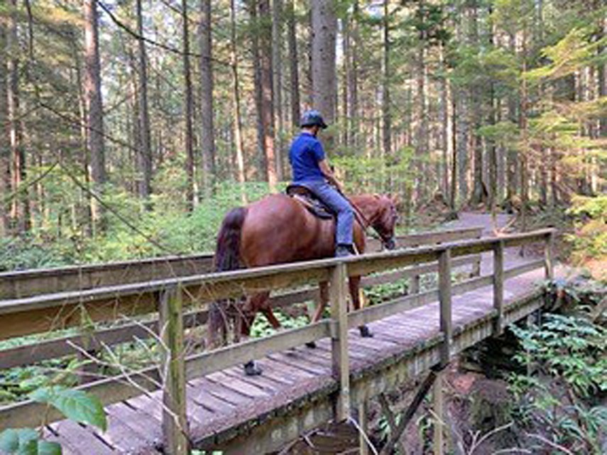 Horses have right of way