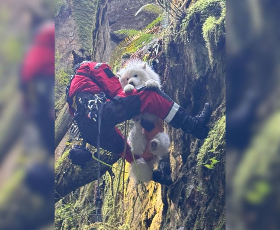 nsn-20250414-west-van-cliff-rescue