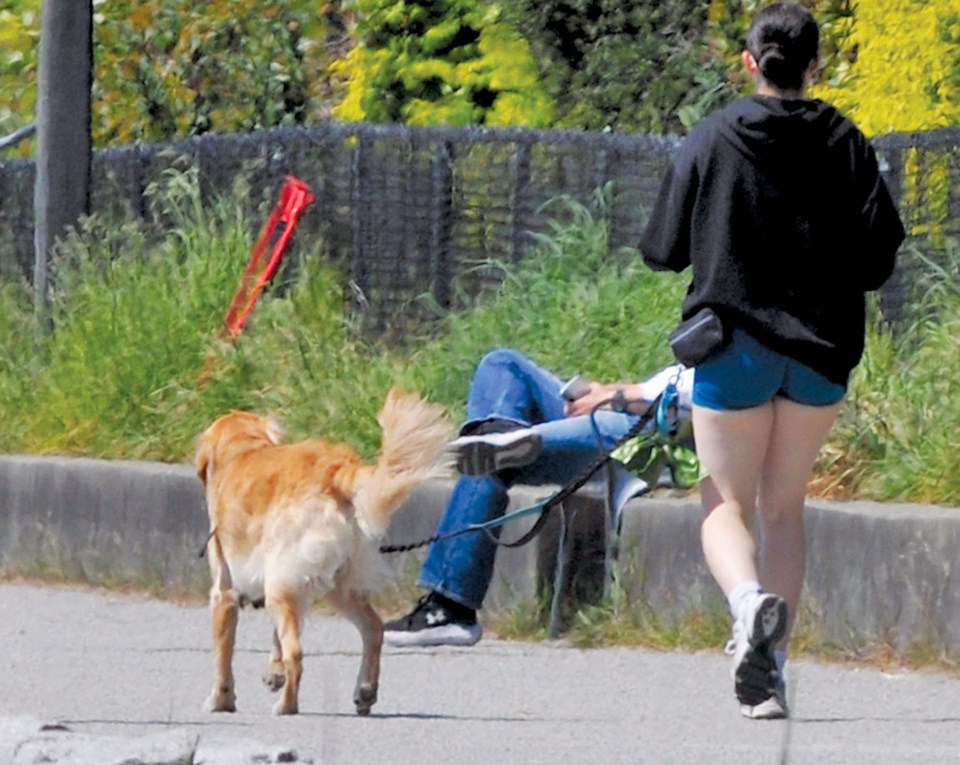 nsn-20250502-dogs-on-wv-seawalk-02