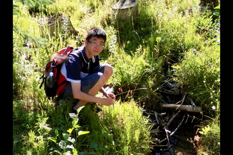 1st Carnivorous Plant Identified In 20 Years Grows Near Vancouver