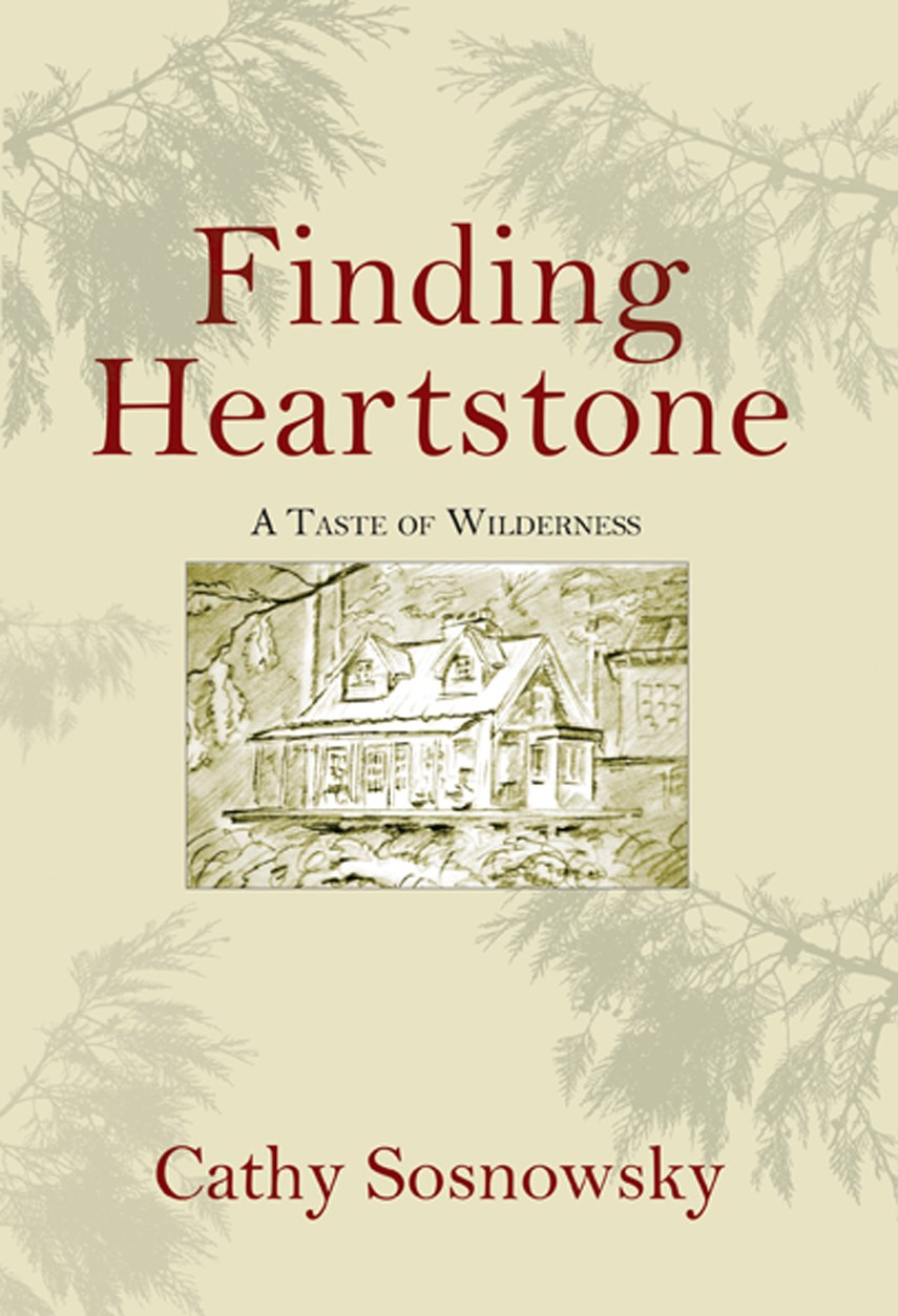 book Finding Heartstone - web