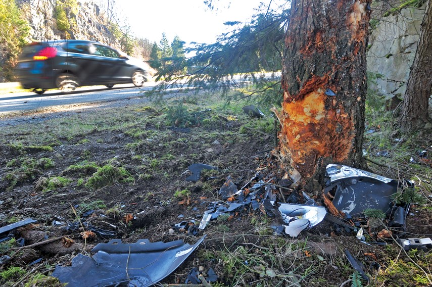 A damaged tree and debris from a vehicle remain at the scene of a fatal crash involving a lone driver in West Vancouver, Saturday night.