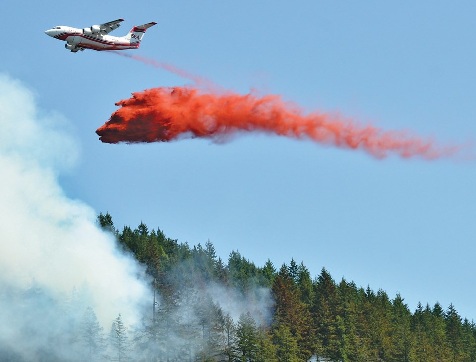 wv-forest-fire-2