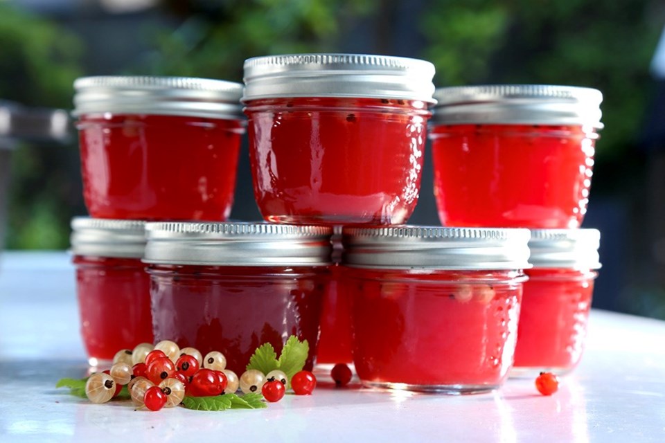 Pink currant jelly, sweetened with honey, sparkle like jewels.