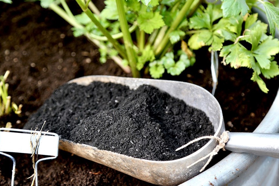 Biochar helps patio pots and planters retain moisture and nutrients.