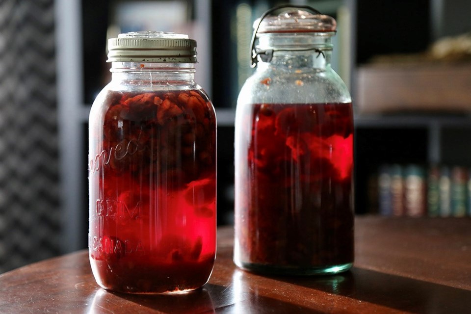 After just a few weeks, damson plum gin takes on its cheery holiday blush.