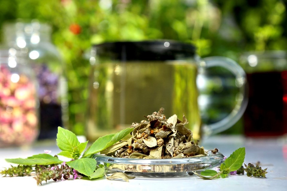 Holy basil added to chamomile flower and mountain mint makes a delicious tea blend.