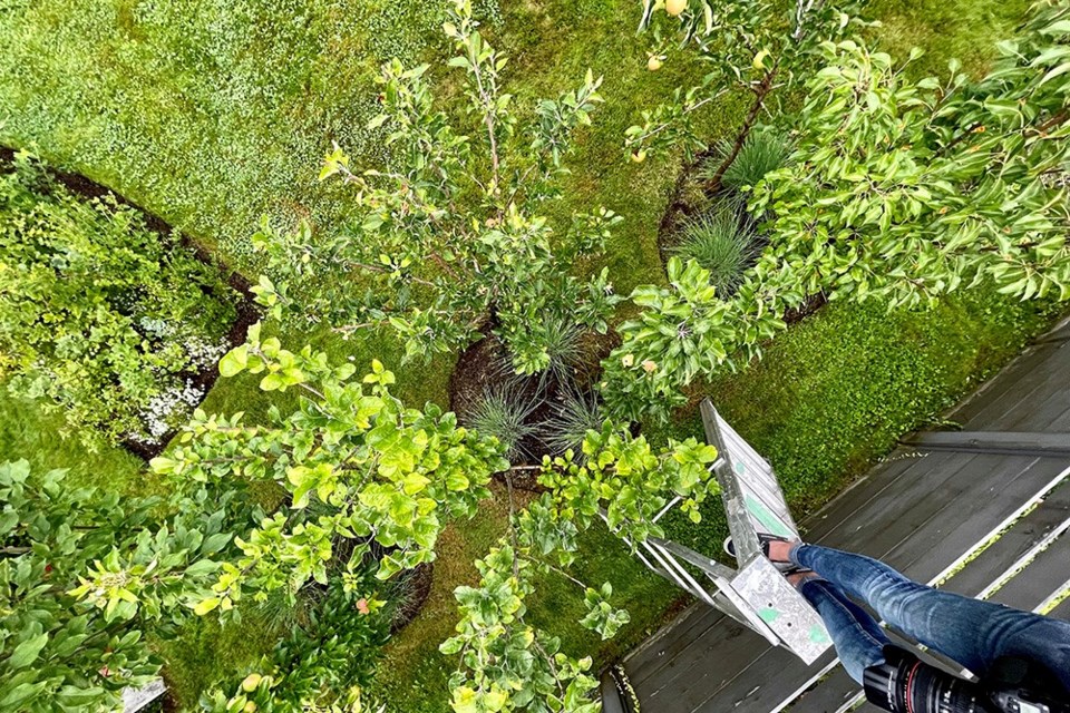 View straight down into the central "column": open to sunlight and drying breezes.
