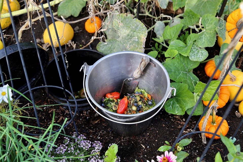 Kitchen and garden scraps are ready to be added to adjacent in-bed worm compost.