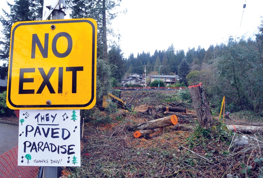 The District of North Vancouver has cut down 35 trees at the top of Naughton Avenue, to enable construction of a temporary traffic detour while the Gallant Avenue storm sewer replacement project takes place. 