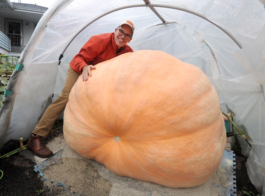 Giant Pumpkin 01 web MW