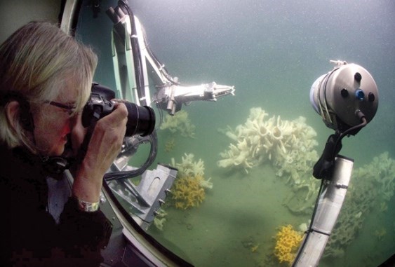 Glass sponge reefs