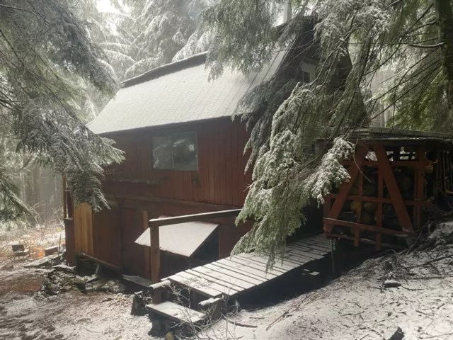 hollyburncabin1