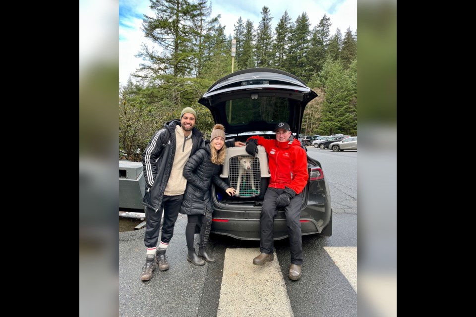 Luna, a dog lost in North Vancouver for 15 days, was reunited with owners Bianca Camacho and Kyle Silva on Tuesday, Dec. 14, 2021 with the help of Kevin Smith, Grouse operations manager who recognized Luna from social media posts.