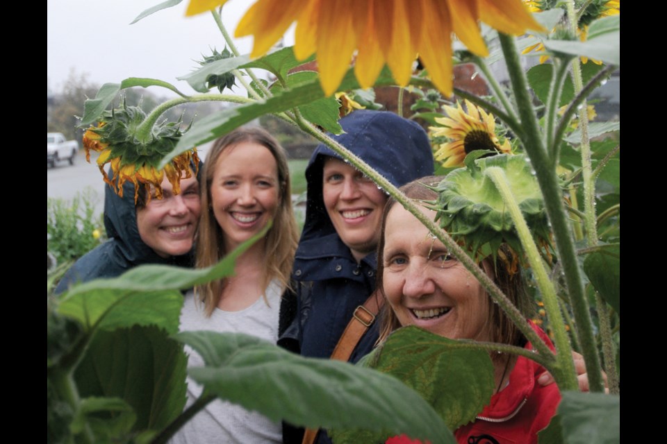 Susan Drouin, Ally McGill, Erika Rathje and Ruth Tschannen share the shade of a sunflower at a boulevard garden in North Vancouver. 