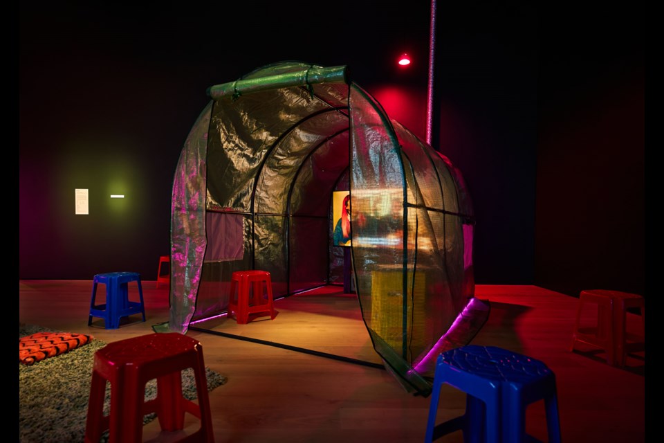 Wei’s video installation aims to address what can’t always be said through verbal communication due to language barriers, privacy or trauma. | Akeem Nermo