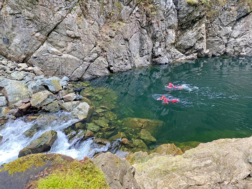 Swift water rescue dog 1