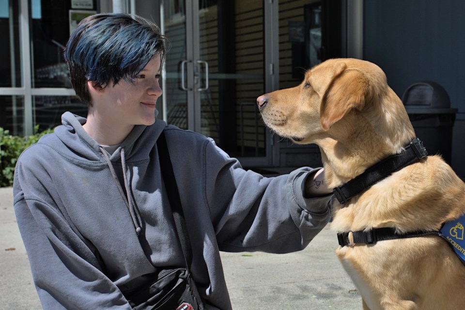 A student at Mountainside secondary has formed a bond with Dervish, a PADS-trained facility dog specialized in helping kids with extra support needs.