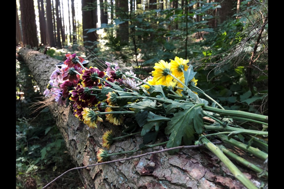 A bouquet of flowers sits on a fallen tree, not far from where an arborist was killed on the job in North Vancouver's Princess Park, Sept. 30, 2022.  North Vancouver RCMP, WorkSafeBC and the BC Coroners Service are investigating.