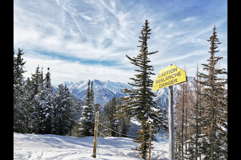 Avalanche Canada is urging backcountry beginners to use the new online tool Avy Savvy. photo Getty Images