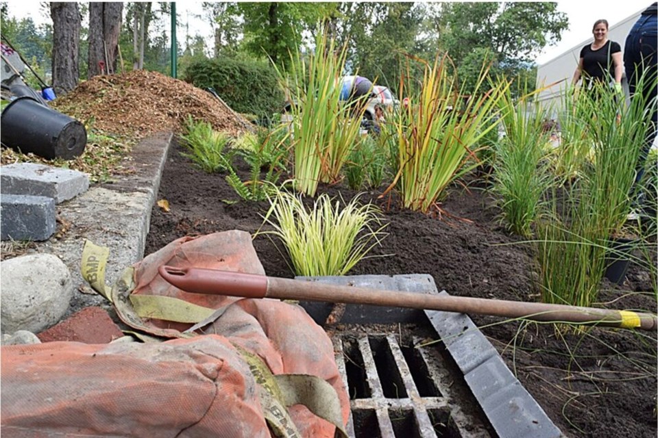 Capilano Mall rain garden