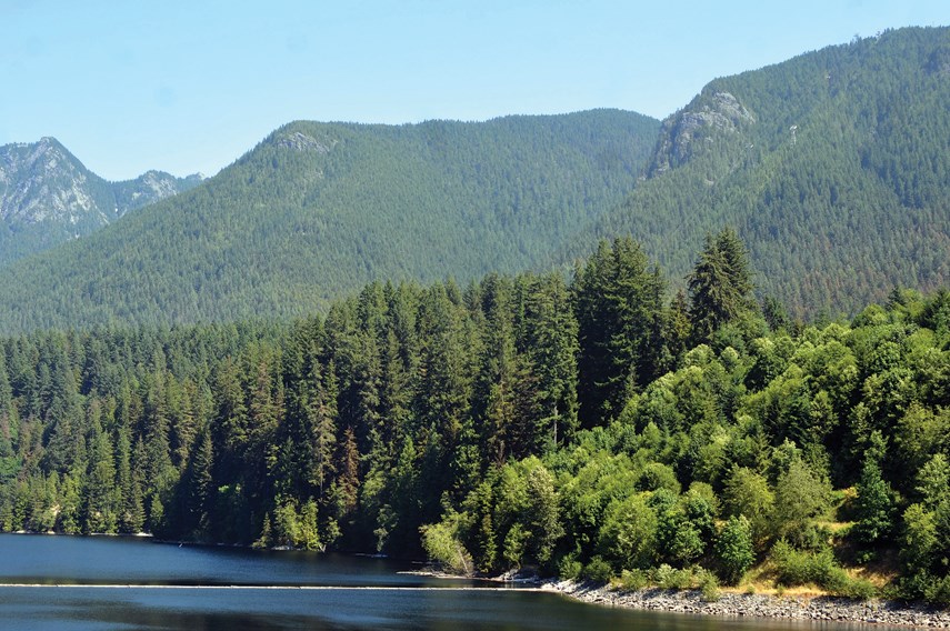 Capilano Lake on July 5. The region's reservoirs are so far steady at normal levels.