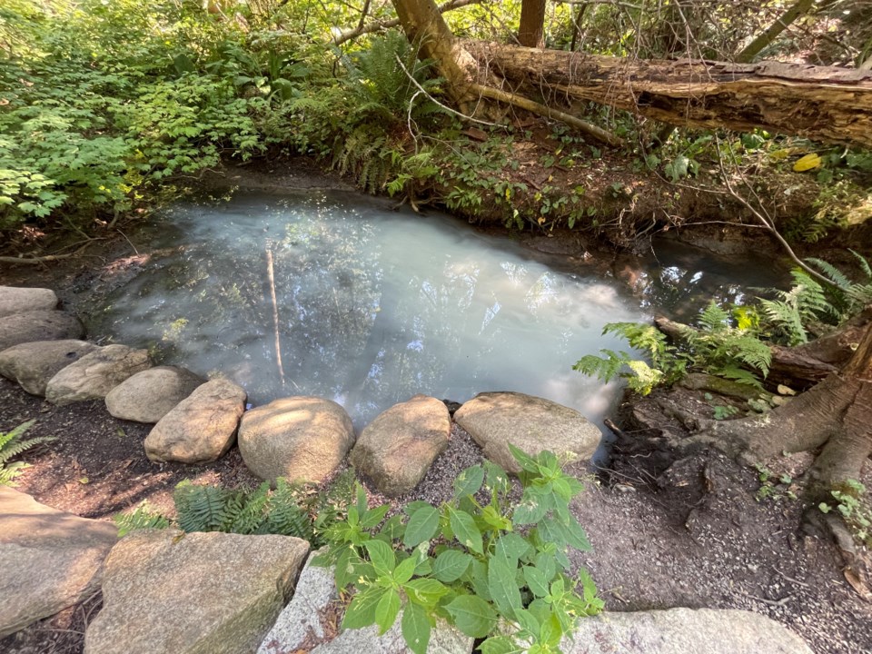 Hastings Creek pollution