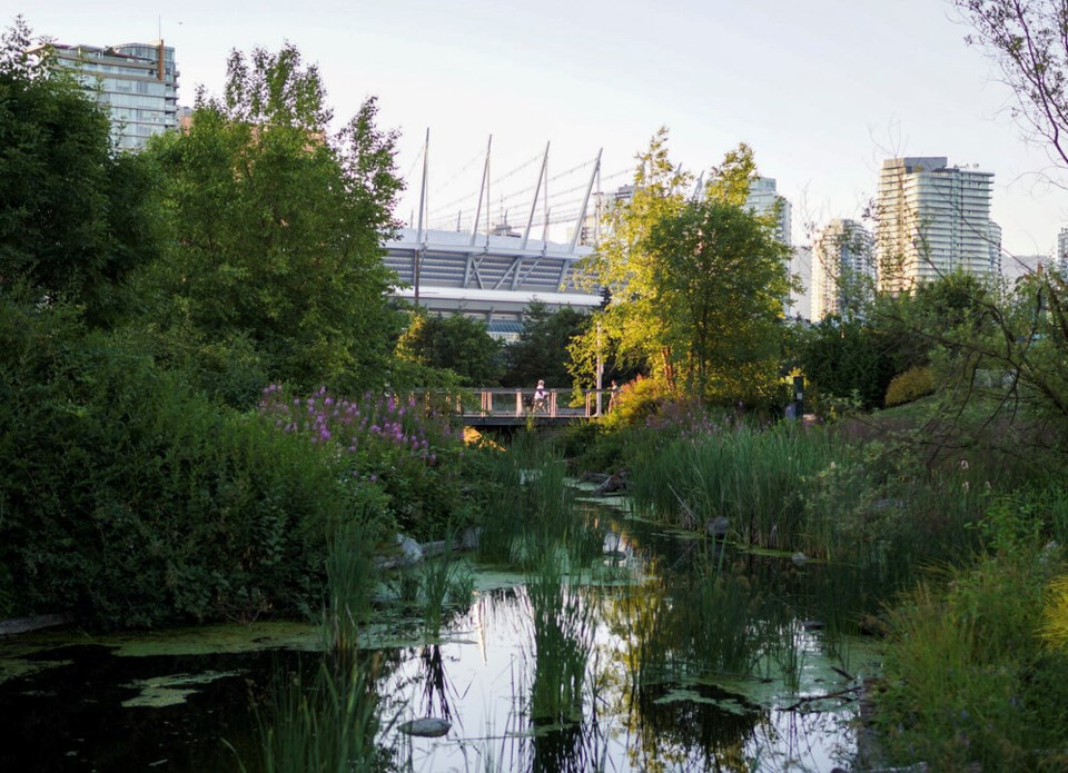 Hinge Park wetland