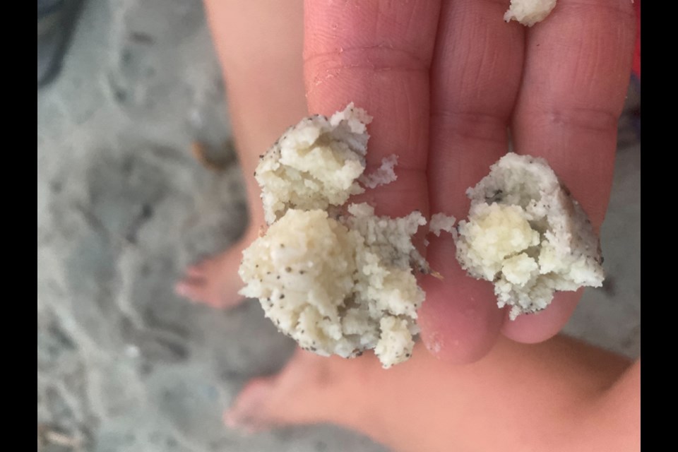 Blobs of fat appeared on Ambleside Beach in West Vancouver,  Aug. 13, 2021